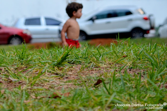 Amor que não se mede Joaquim Dantas