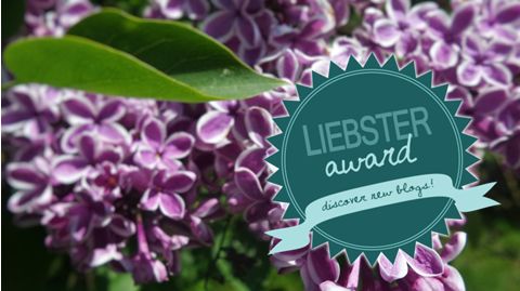 Liebster Blog Award #1