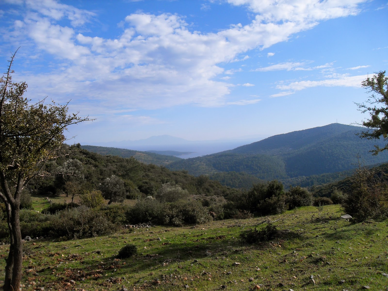 Backtobodrum Bodrum Walking In Famous Footprints