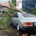 Queda de árvore destrói Opala 82 durante temporal em Londrina