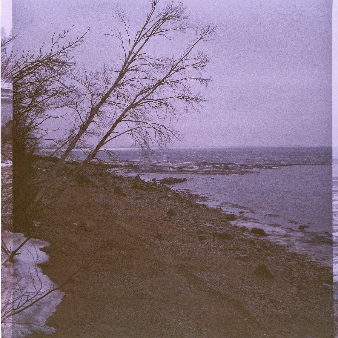 Haus of Margot Pollo Sisters of Beaconia Beach