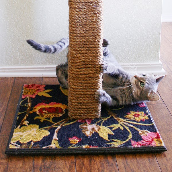 DIY Cat Scratching Post Do It Yourself Ideas And Projects diy-cat-scratching-post-do-it-yourself-ideas-and-projects