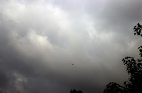 bandra, bird, clouds, india, mumbai, sky, skywatch, 