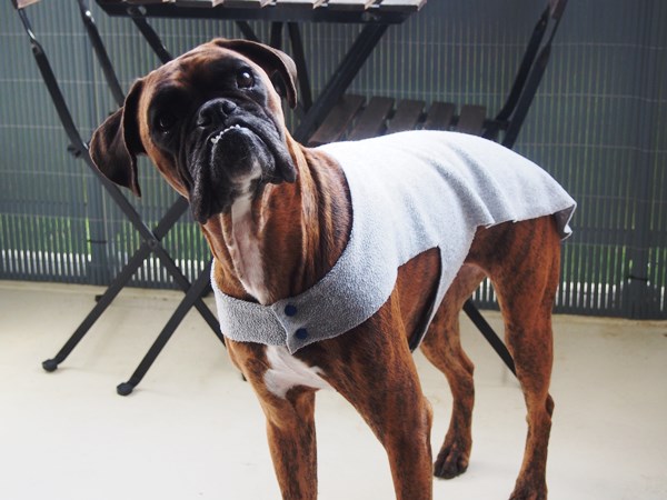 DIY : Manteau pour chien sans couture