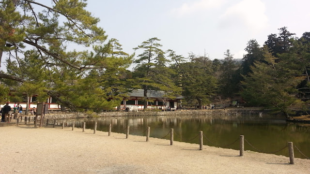« 奈良公園. »
