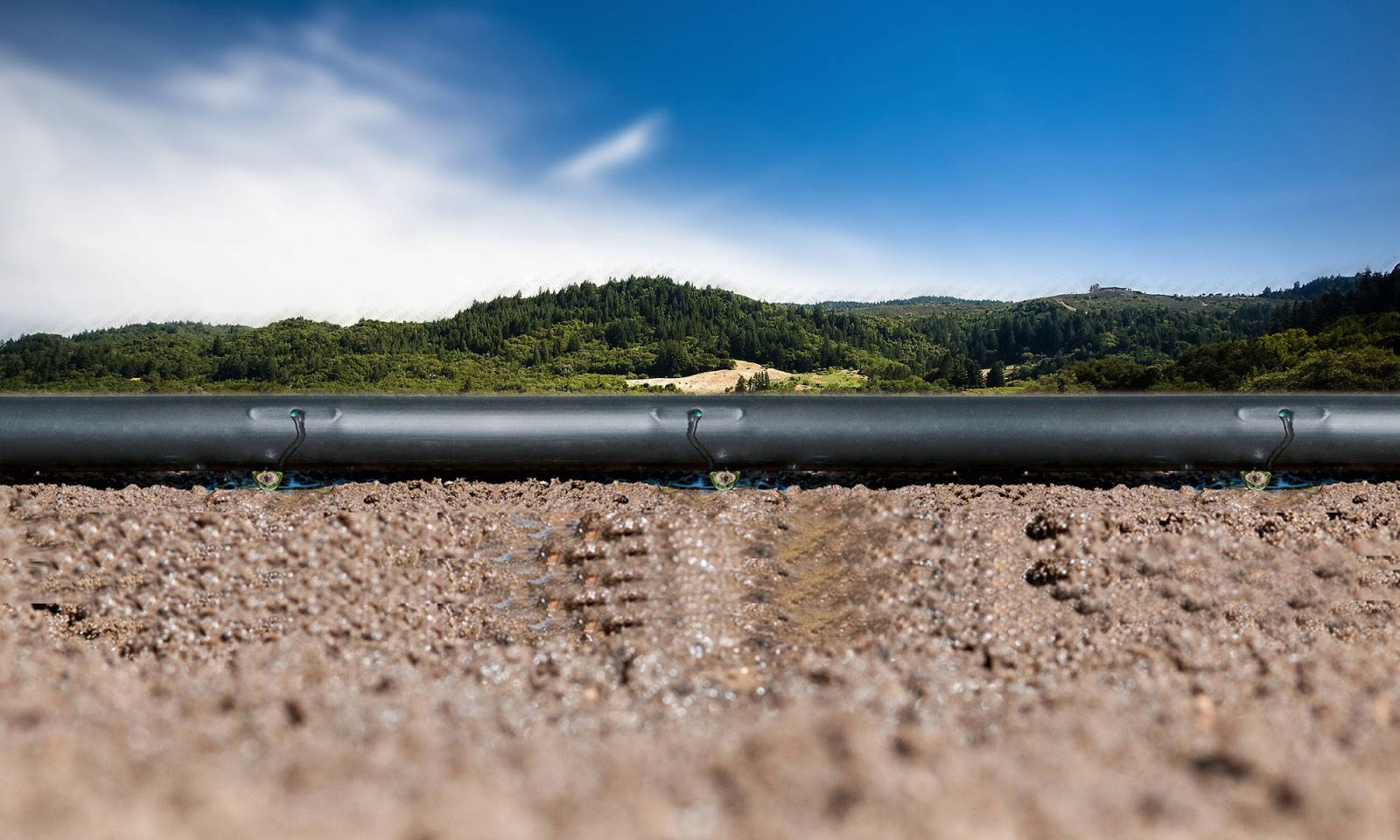 Greenhouses Kenya company[+254723053026