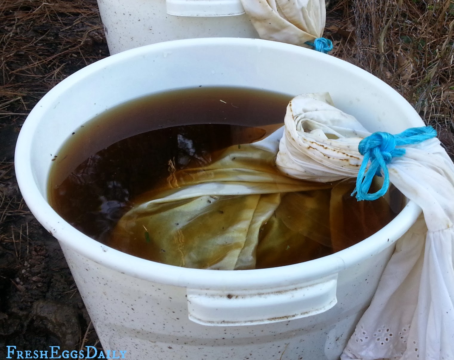 How To Brew Chicken Manure "Tea" for your Garden Fresh Eggs Daily