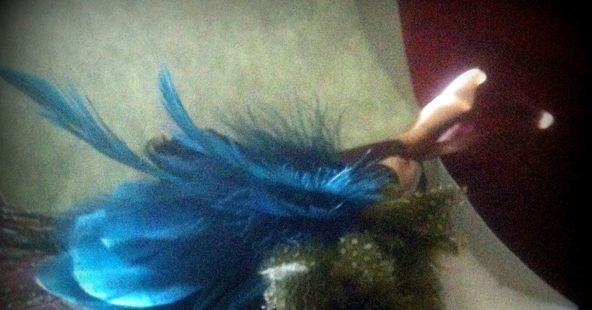 A Tray of Bliss Very Special DIY Gifts...Miniature Feather Dusters for