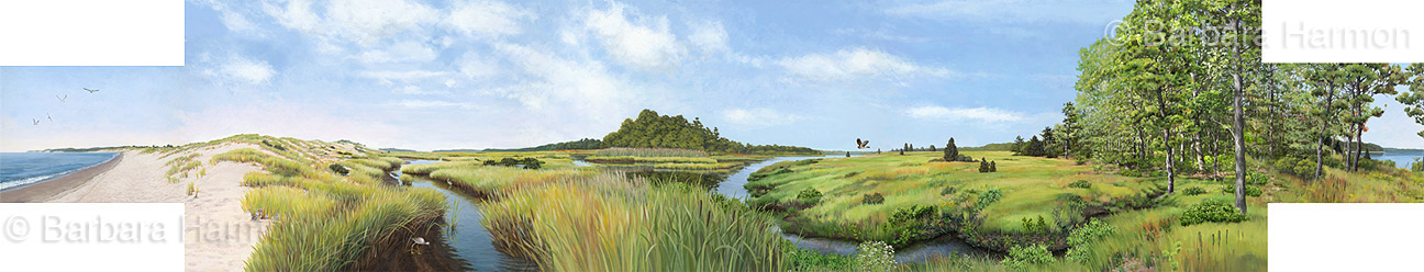 Wertheim National Wildlife Refuge Nature Center Wertheim National Wildlife Refuge Nature Center