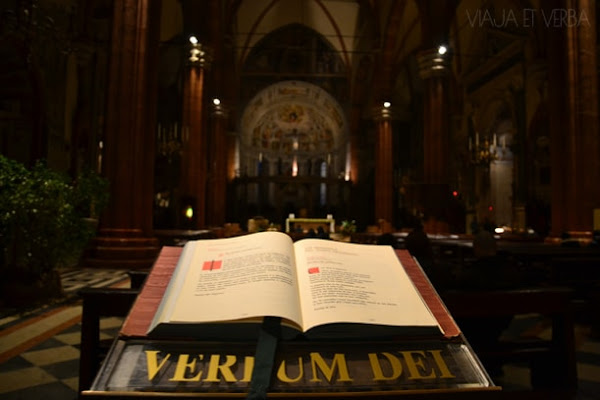 Duomo di Verona, Italia. Viaja et verba
