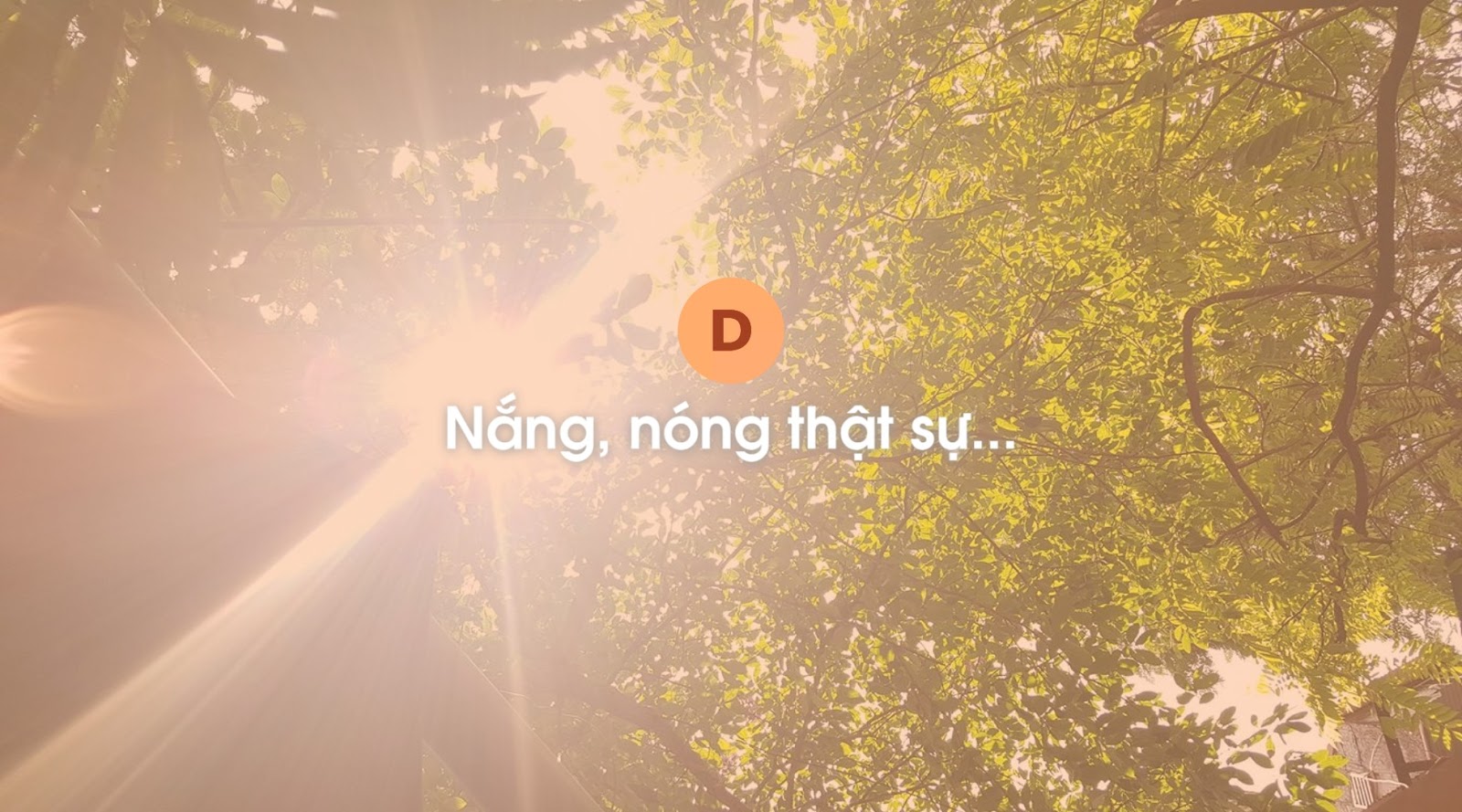 Không hiểu kiểu gì luôn... Nắng nóng kinh thật sự Không hiểu kiểu gì luôn... Nắng nóng kinh thật sự