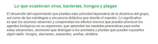 Respuestas Apoyo Primaria Ciencias Naturales 4to Grado Bloque II Tema 2 Otros seres vivos: los hongos y las bacterias