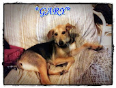 GARY ADOPTADO POR SU CASA DE ACOGIDA