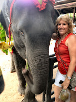 Gena with her arm around an elephant