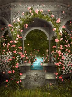 flower background images