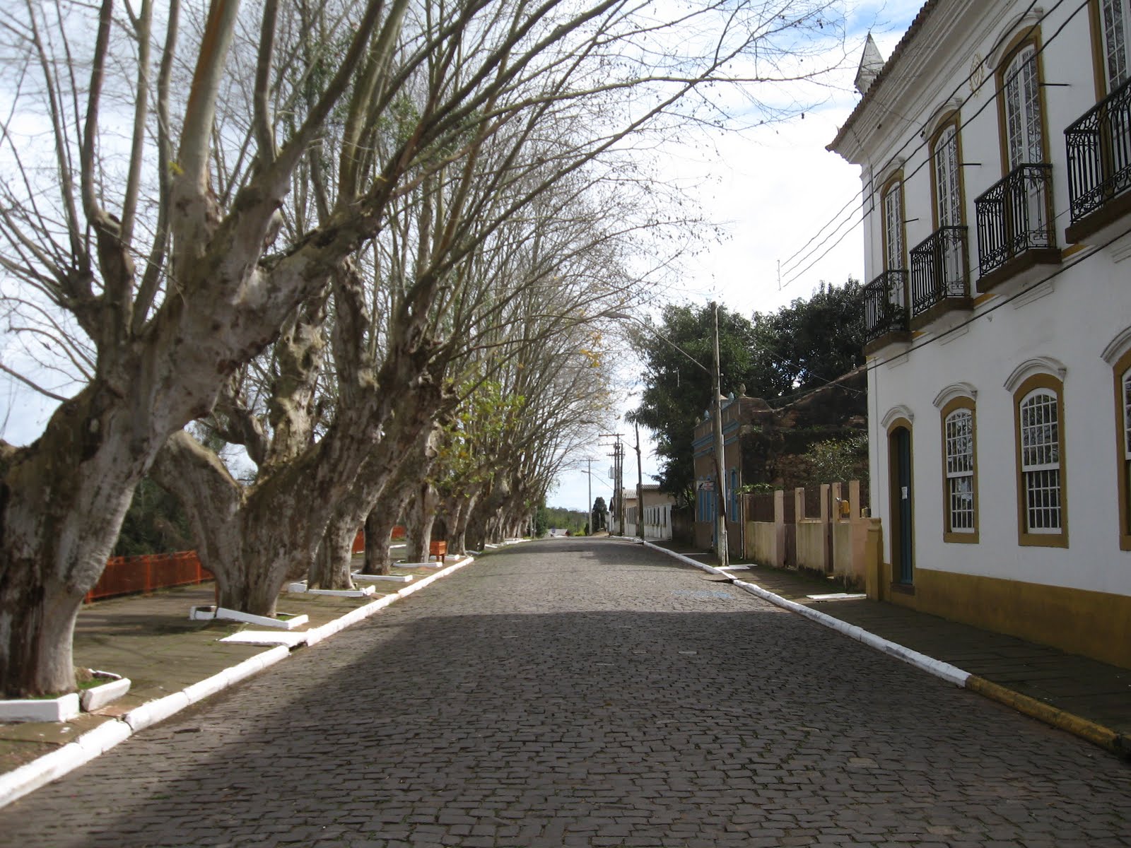 Lycengraulis Nas margens do Rio Jacuí Triunfo e São Jerônimo RS