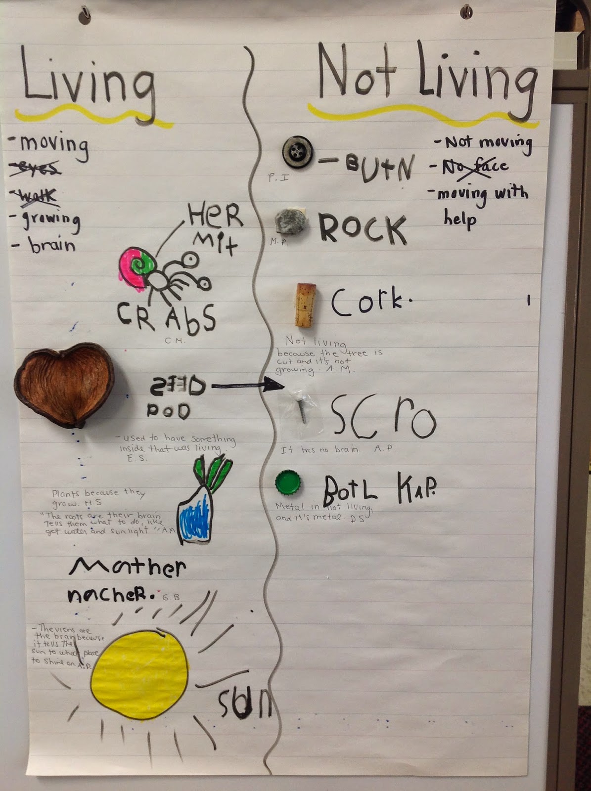Wonders in Kindergarten: Every rock has a story...Our new inquiry!
