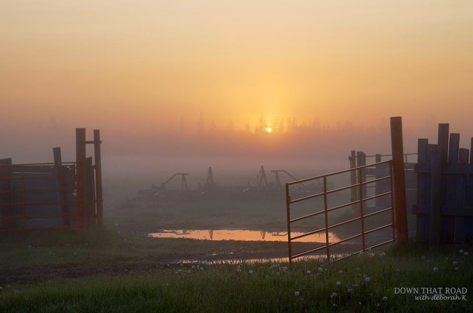 The Seaside Chair Photography Is in the Blood