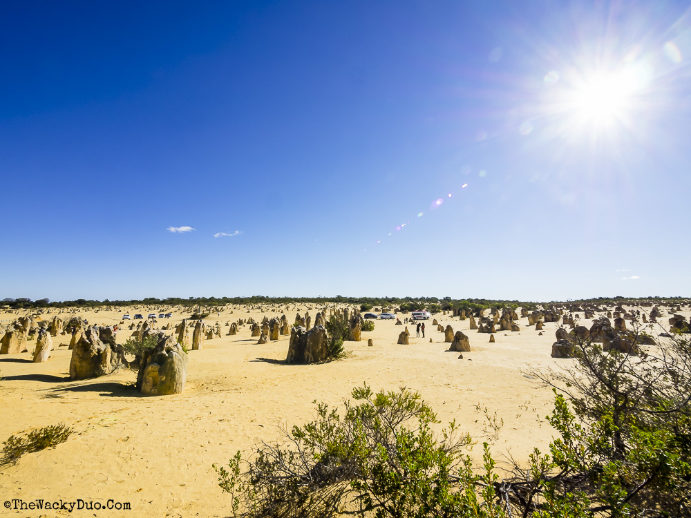 Pinnacles, Lancelin Dunes and Lobster Shack tour Review TheWackyDuo