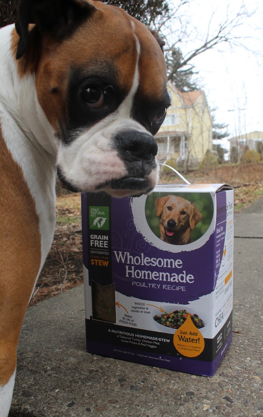 Dog Madness Freshly Nutritious Balanced & Complete Wholesome Homemade