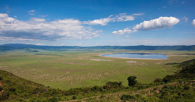 Zwangsgedanken Inklusive Neuigkeiten Von Ach Du Das Wird Schon