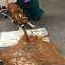 This is why you should never feed dogs chocolate no matter how they cry