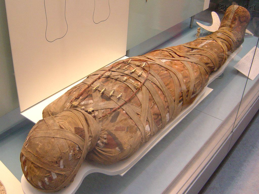 EGITO: imagens de mumias e animais mumificados