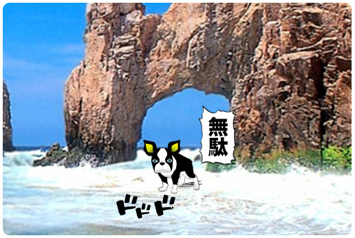 これを見ればボストンテリアの全部が ...