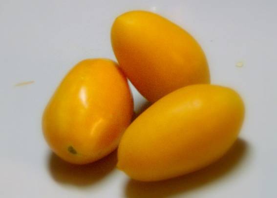 ������� ������� !!!!���� ��� ����� ����� �� ������ �� ��� ���� 