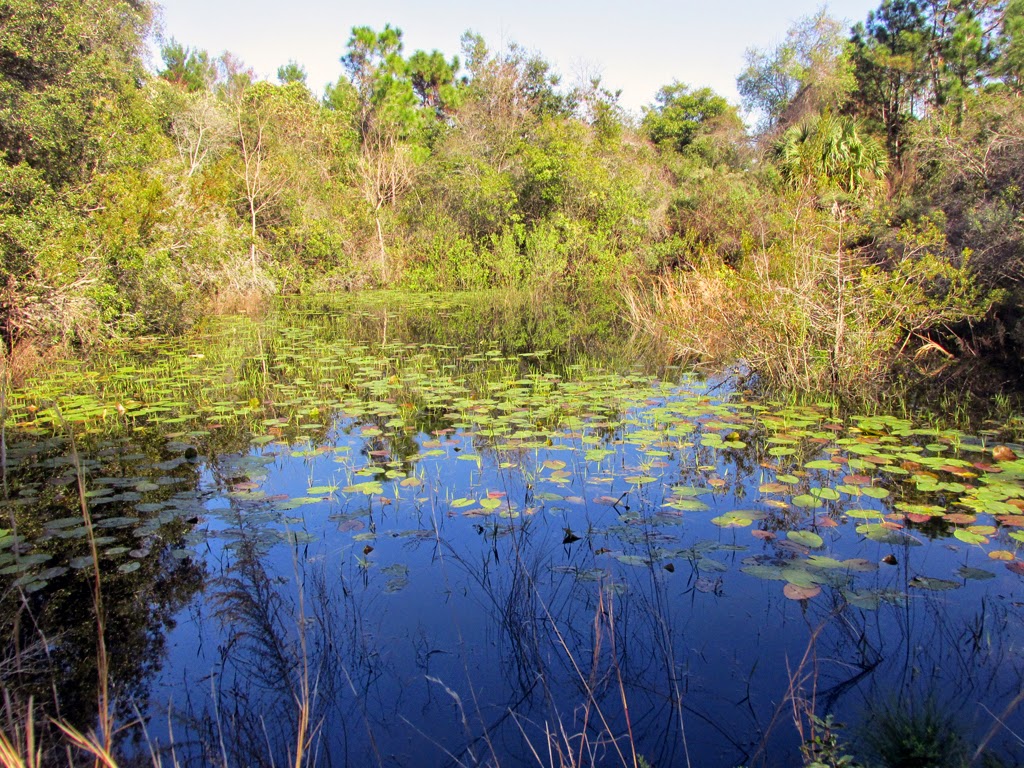 Amusement Park... Stuff Shadow Bay Park