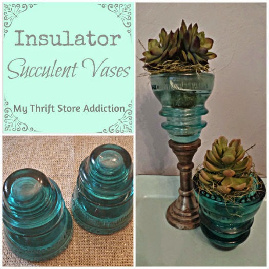 Insulator succulent vases