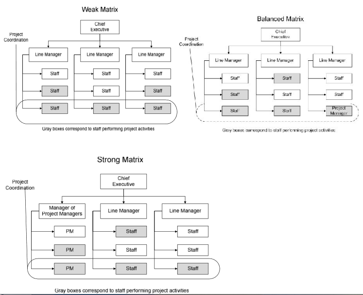 Project Management: Project Management with Organisational Influences
