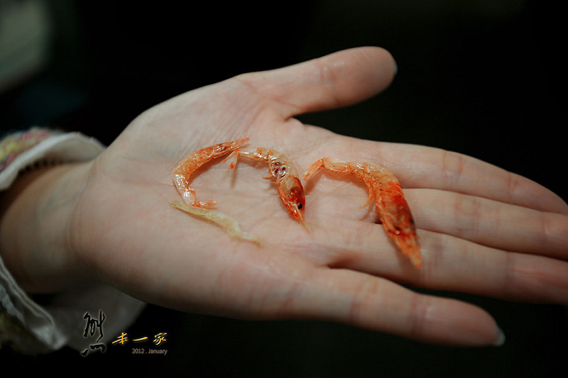 福灣莊園環境|黑鮪魚故事館