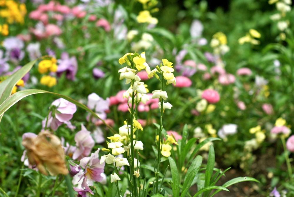 BLOG MODE HOMME PREPPY DANDY CONSEIL STYLE PARIS ELEGANCE TENDANCE JEUNE MENSFASHION BLOG MODE HOMME PREPPY DANDY CONSEIL STYLE PARIS ELEGANCE TENDANCE JEUNE MENSFASHION