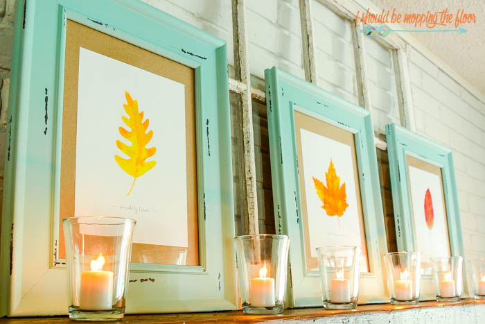 30 Watercolor Fall Leaf Printables | These 30 GORGEOUS and VIBRANT leaf printables are the perfect compliment to any fall decor. Download, frame, and display... (they are STUNNING displayed with all 30 together)!