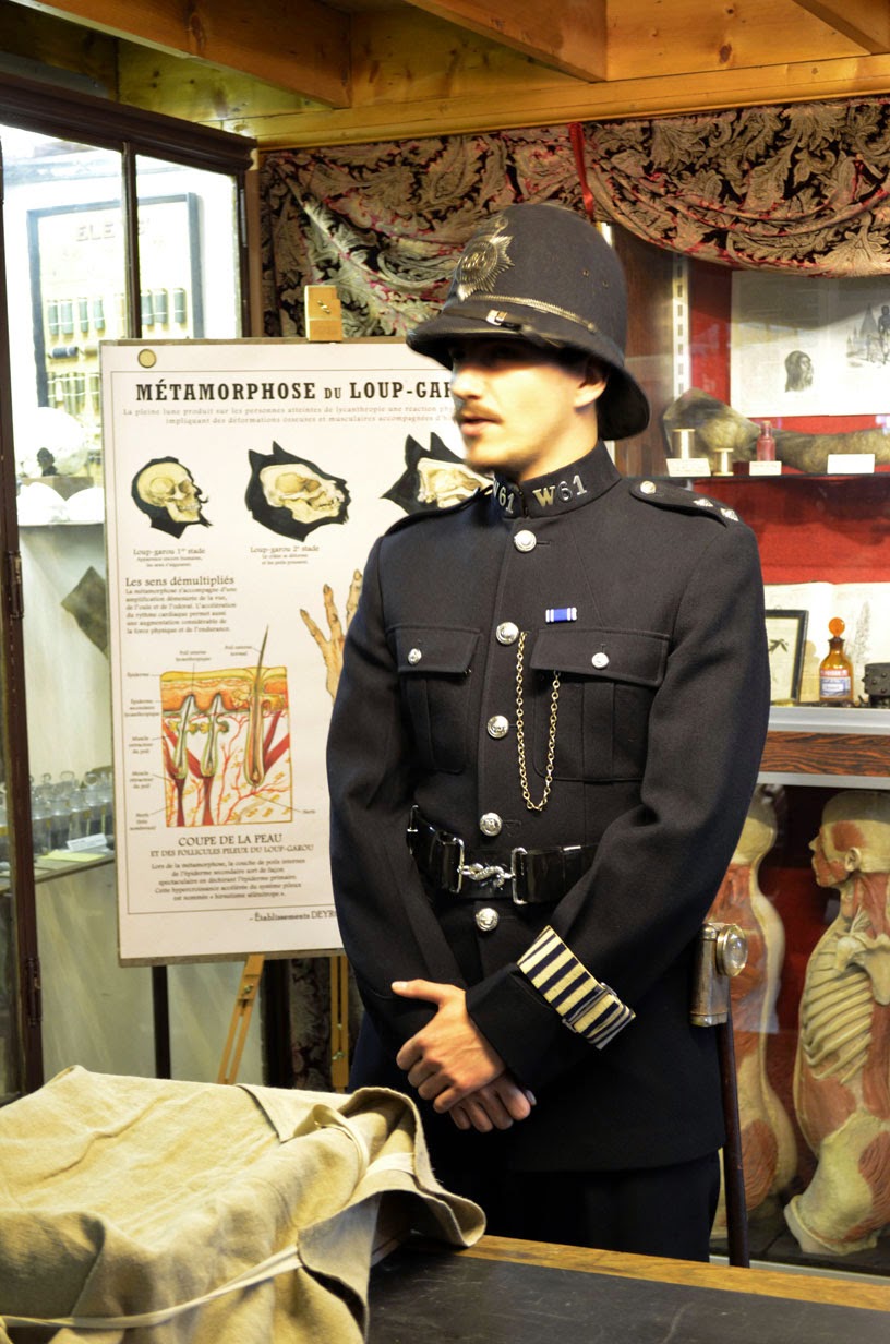 Planche anatomique loup