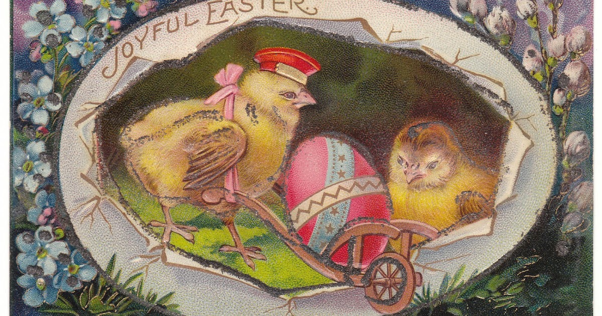 View from the Birdhouse Weekend Window Shopping at Birdhouse Books