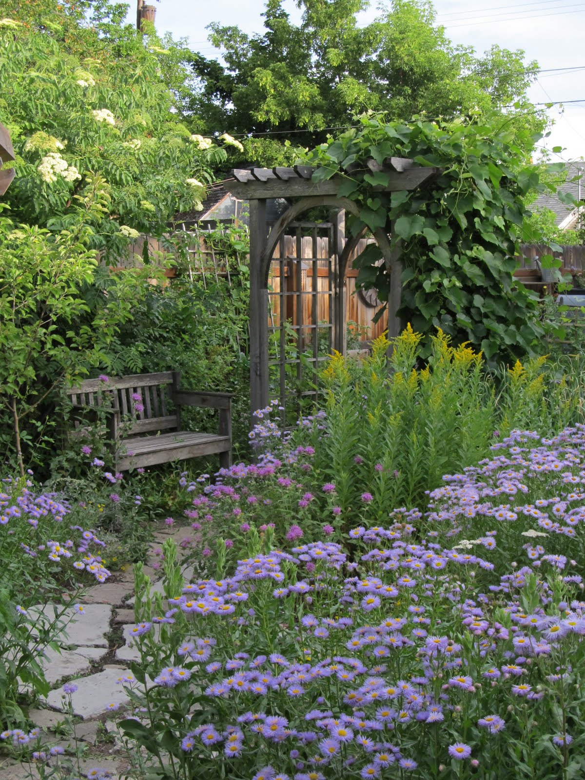 Montana Wildlife Gardener Scenes from the Garden midJuly