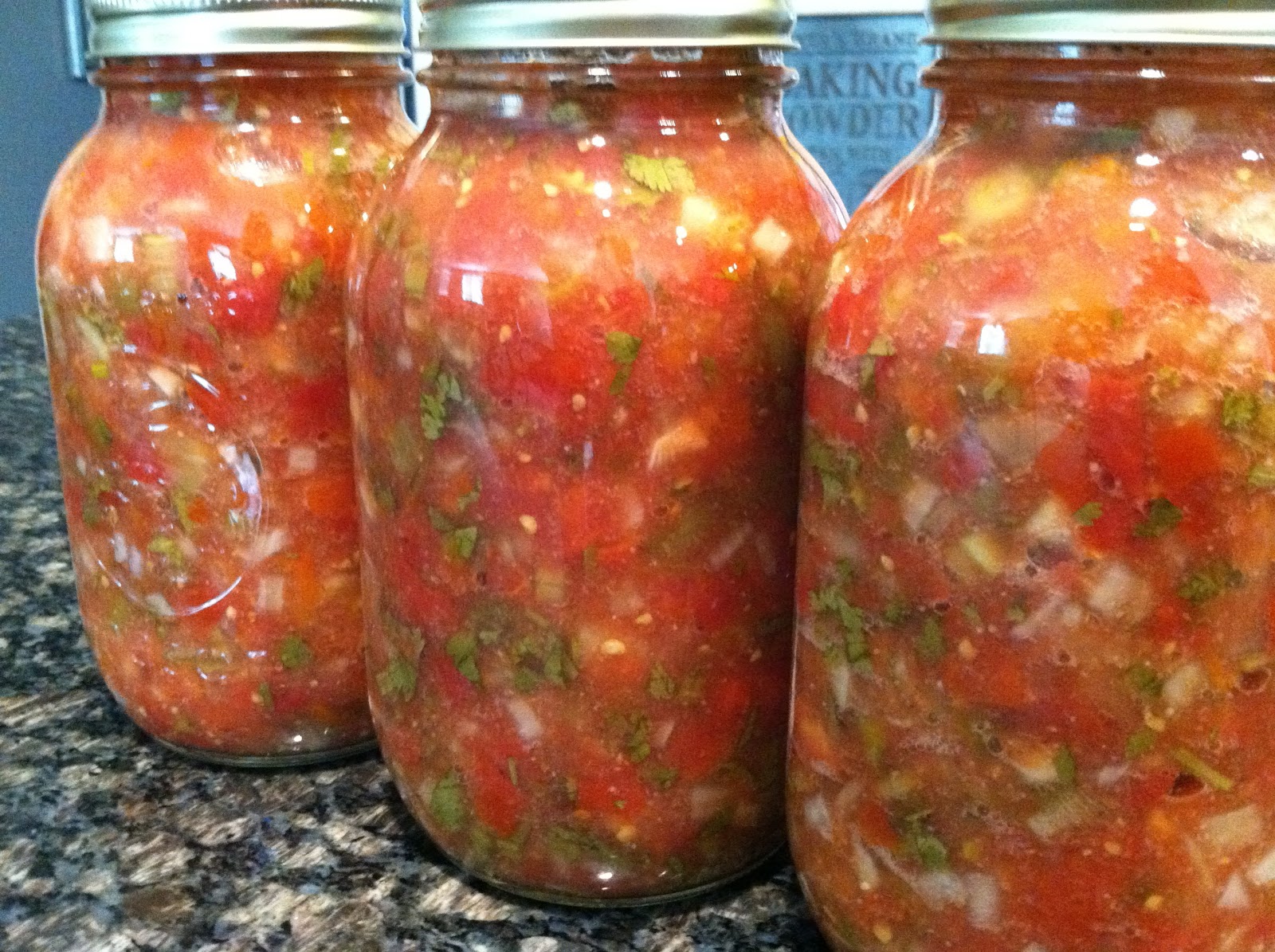 seeshellspace Homemade Salsa Canned