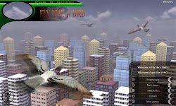 apk fly bird premium mod end games