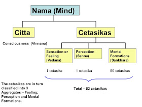 Нама-рупа (включая читта и четасика) в буддийской психологии, пожалуй, более всего соответствует когнитивной сфере психики в понимании современной психологии