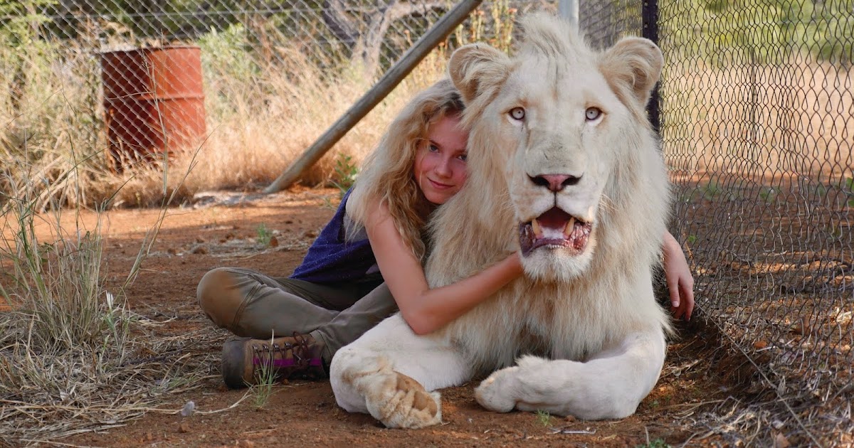 Cine y críticas marcianas: Mia y el león blanco: Champán, niños y leones
