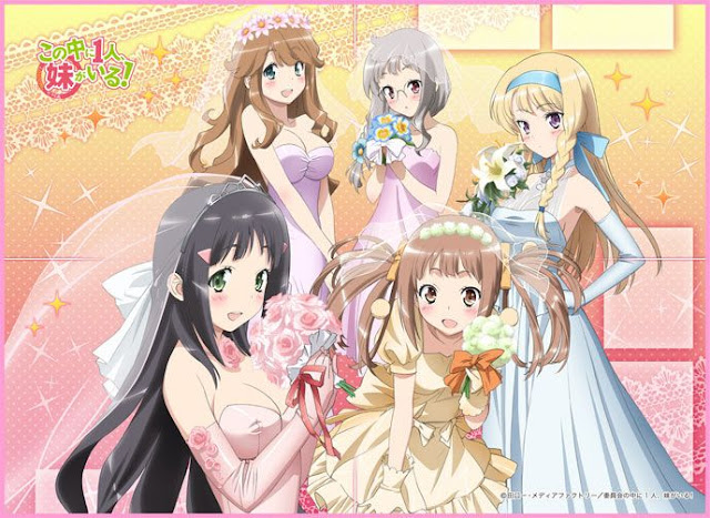 Rekomendasi Anime Harem Rekomendasi Anime Harem