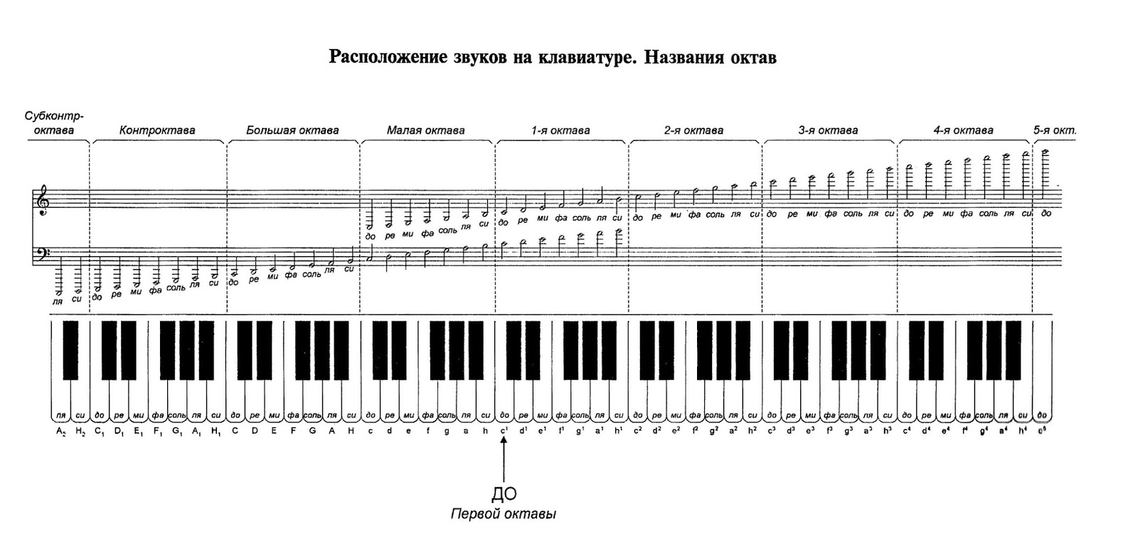 Расположение басовых нот