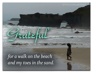 The Gratitude Habit Journal: Grateful for a Walk on the Beach