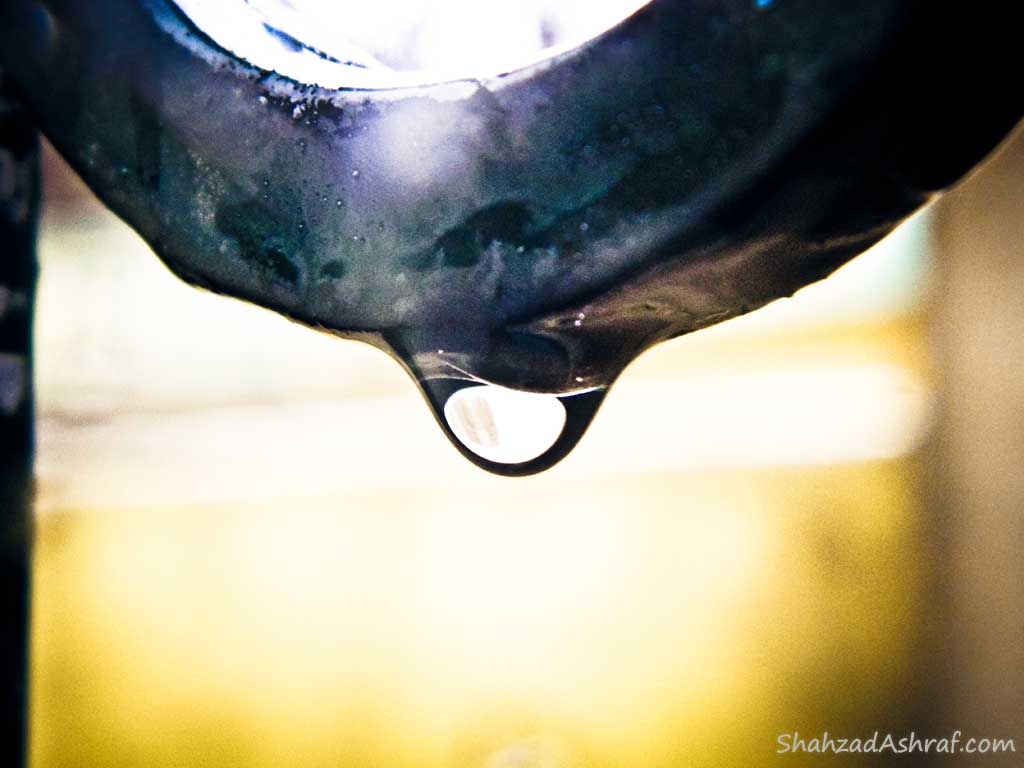 Water droplet like gems on an irin rode after rain