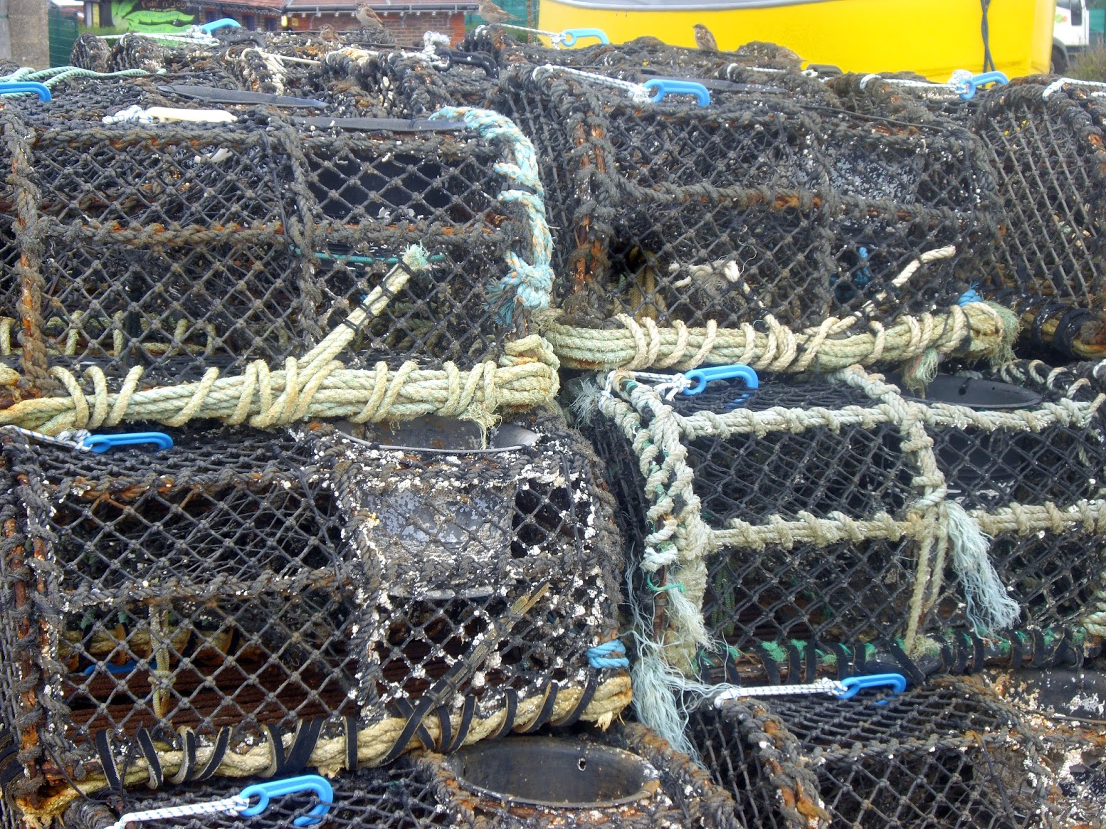 Tales from the Fabric of Life: Lobster baskets