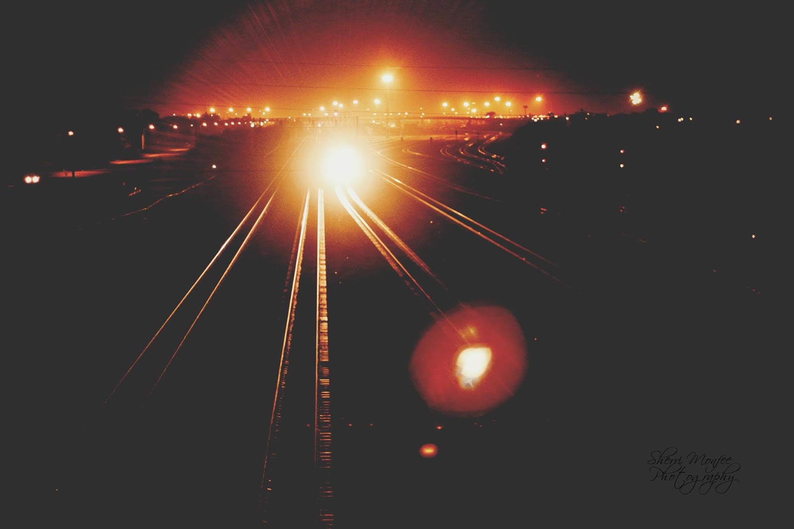 A day in my life! Privizzini's Passion Photography Pocket of light top 10