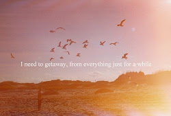 flying quotes bird flight birds quote away funny need getaway while getaways sunset motivational solo another want inspirational remember sun