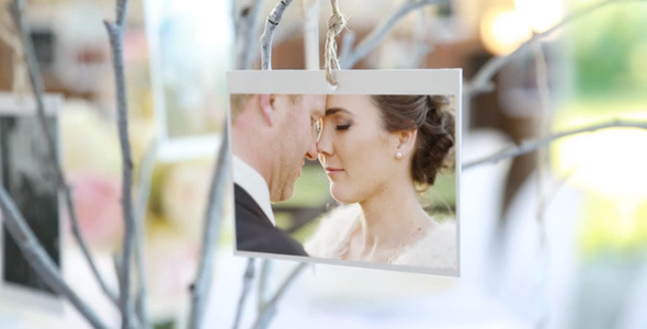 VideoHive Photo Gallery at a Country Wedding